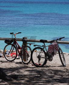 Parker Point Marine Snorkel Trail - VIC Tourism 0