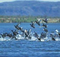 Ord River - VIC Tourism
