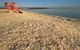 Shell Beach - thumb 0