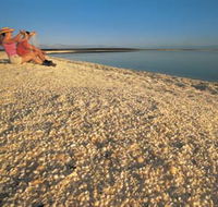 Shell Beach - VIC Tourism