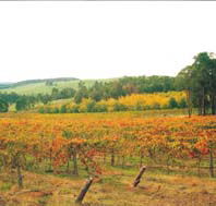Byramgou Park - VIC Tourism
