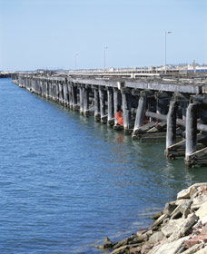 Old Timber Jetty - VIC Tourism 0