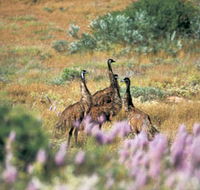 Jurabi Coastal Reserve - VIC Tourism