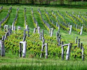 Sienna Estate Winery - VIC Tourism 0