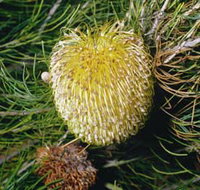 FR Berry Reserve - VIC Tourism