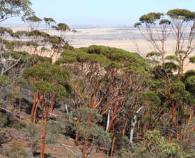 Mount Matilda Walk Trail, Wongan Hills - VIC Tourism 0