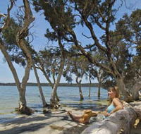 Stokes National Park - VIC Tourism