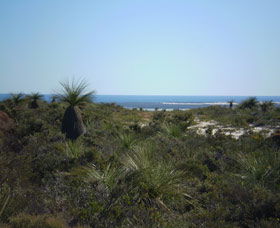 Lesueur National Park - VIC Tourism 0