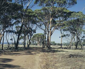 Dumbleyung WA VIC Tourism
