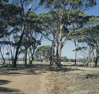 Lake Dumbleyung - VIC Tourism