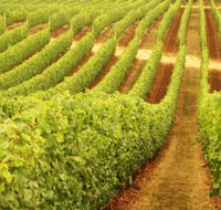 Happs Wines - VIC Tourism
