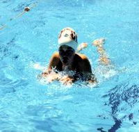 Mount Gambier Aquatic Centre - VIC Tourism