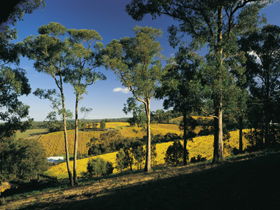 Lobethal SA VIC Tourism