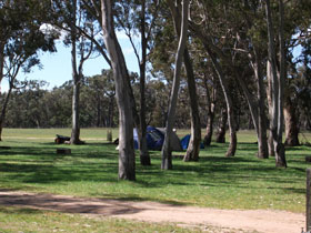 Naracoorte SA VIC Tourism