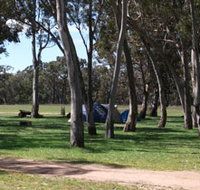 Black Cockatoo Bush Camp - VIC Tourism