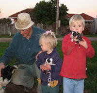Orrie Cowie Merino and Poll Merino Stud - VIC Tourism