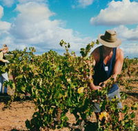Torbreck Vintners - VIC Tourism