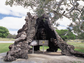 Springton SA VIC Tourism