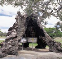 The Herbig Family Tree - VIC Tourism