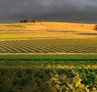 Kellermeister Wines - VIC Tourism