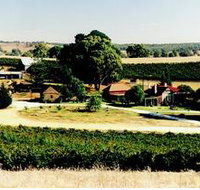 Irvine Wines