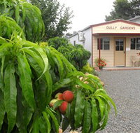 Gully Gardens