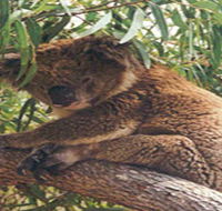 Mikkira Station - VIC Tourism