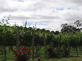  VIC Tourism
