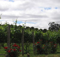 Manyara Vineyard - VIC Tourism