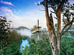  VIC Tourism