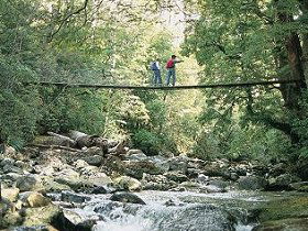 Arve Forest Drive - VIC Tourism 0