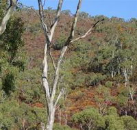 Black Hill Conservation Park - VIC Tourism