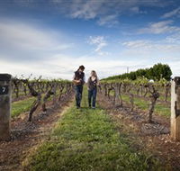 Coonawarra Wineries Walking Trail - VIC Tourism
