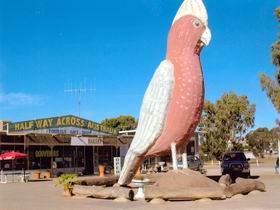 The Big Galah - VIC Tourism 0