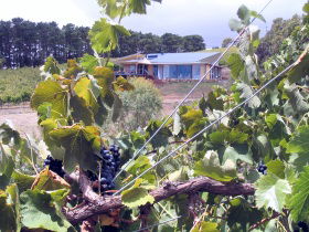 Zimmermann Wine - VIC Tourism 0