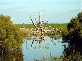  VIC Tourism