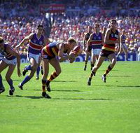 AAMI Stadium Tours - VIC Tourism