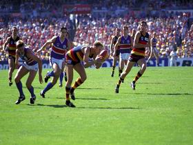 AAMI Stadium Tours - VIC Tourism 0