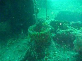 Wallaroo Scuba Club - VIC Tourism 0