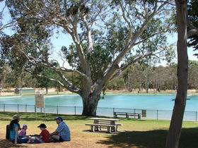 Naracoorte Nature Park And Swimming Lake - VIC Tourism 0