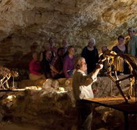 Naracoorte Caves National Park - VIC Tourism
