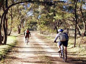 Bike About Mountain Bike Tours And Hire - VIC Tourism 0