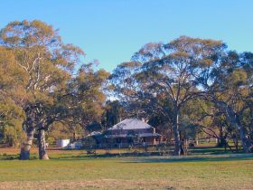 Wilpena Pound SA VIC Tourism