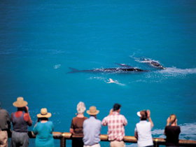 Nullarbor SA VIC Tourism
