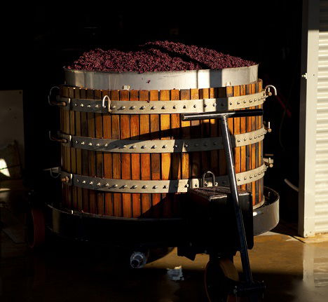 Greenock Creek Wines - VIC Tourism 1