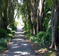 Adelaide Botanic Garden - VIC Tourism