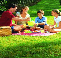 Bruny Island Berry Farm - VIC Tourism