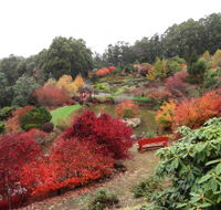 Emu Valley Rhododendron Garden - VIC Tourism