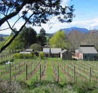 Wilmot Hills Vineyard - VIC Tourism