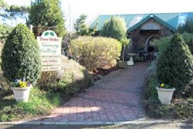 Two Oaks Nursery, Gallery And Cafe - VIC Tourism 0